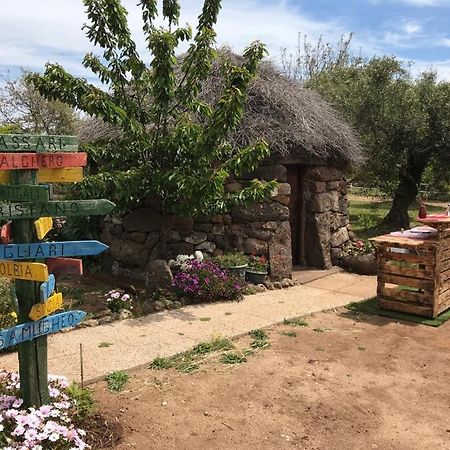 Azienda Agricola Affittacamere S'Ispinalba Di Laura Pitzolu Borore 外观 照片