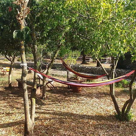 Azienda Agricola Affittacamere S'Ispinalba Di Laura Pitzolu Borore 外观 照片