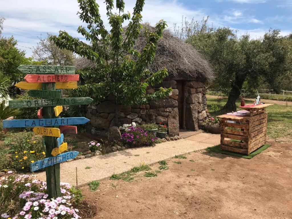 Azienda Agricola Affittacamere S'Ispinalba Di Laura Pitzolu Borore 外观 照片