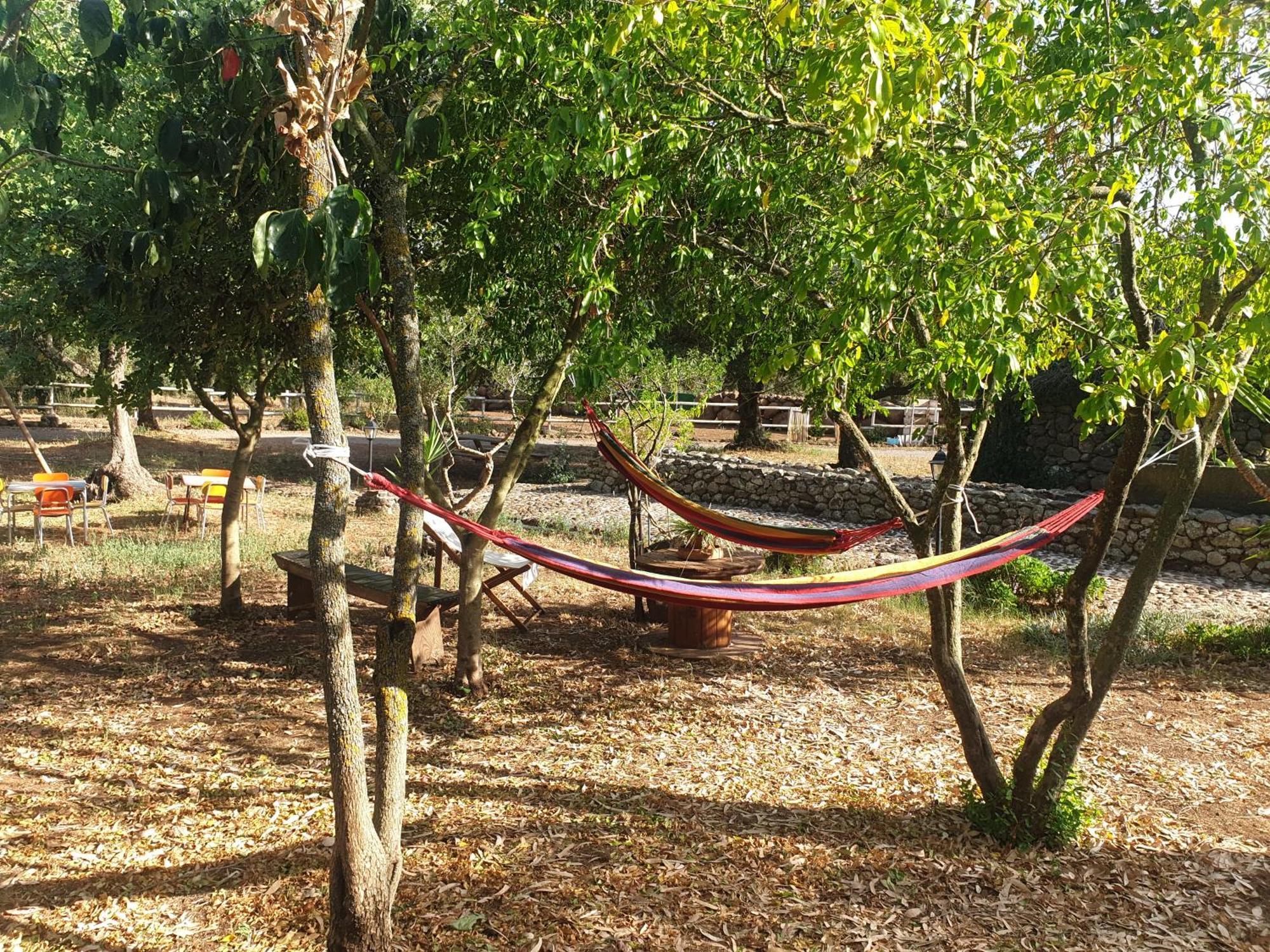 Azienda Agricola Affittacamere S'Ispinalba Di Laura Pitzolu Borore 外观 照片